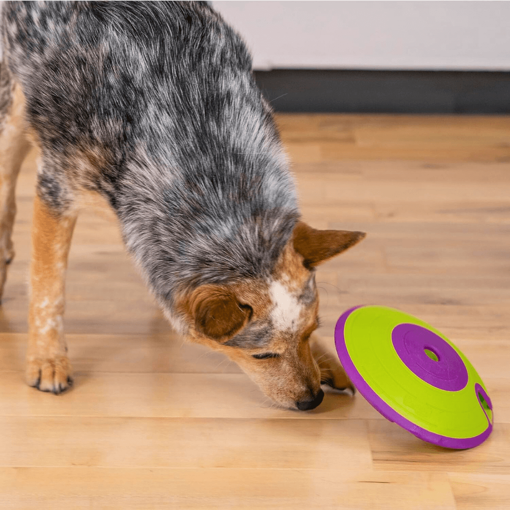 Best Enrichment Dog Toy - Outward Hound Nina Ottosson Dog Treat