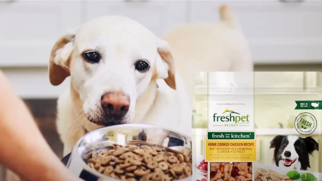 How We Evaluated the Worst Dog Food Brands?