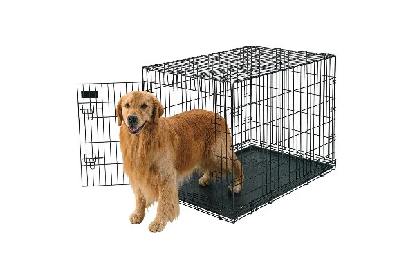 What-Size-Crate-for-Golden-Retriever-_-Choosing-the-Right-Dog-Crate-Size