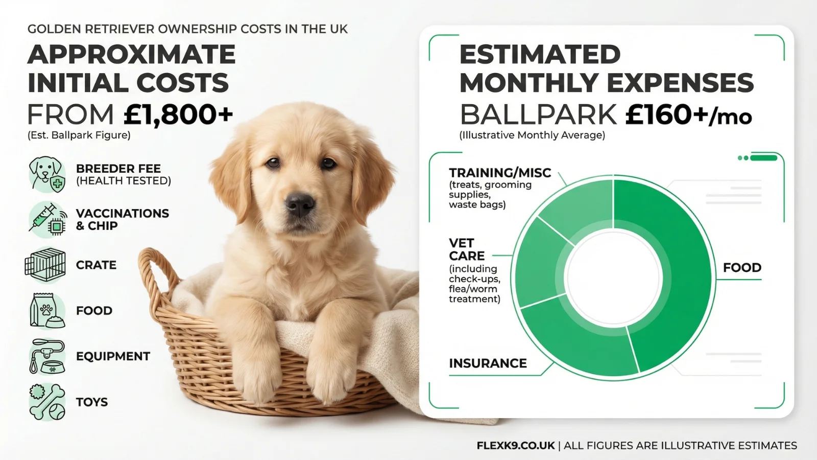 Infographic showing the average cost when buying from golden retriever breeders uk alongside ongoing monthly expenses.