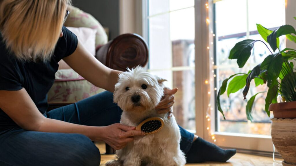 Reasons Behind Your Dog's Dislike for Brushing