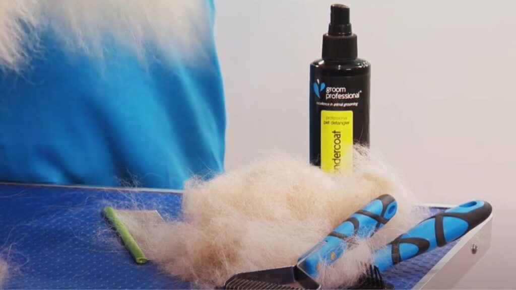 brush your Collie without causing them discomfort