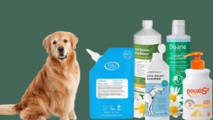 Read more about the article 5 Best Antifungal Shampoo for Dogs: Top Picks