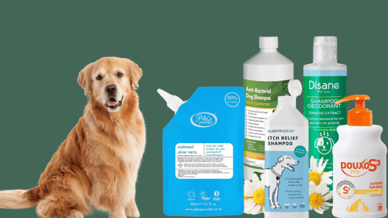 Antifungal Shampoo for Dogs