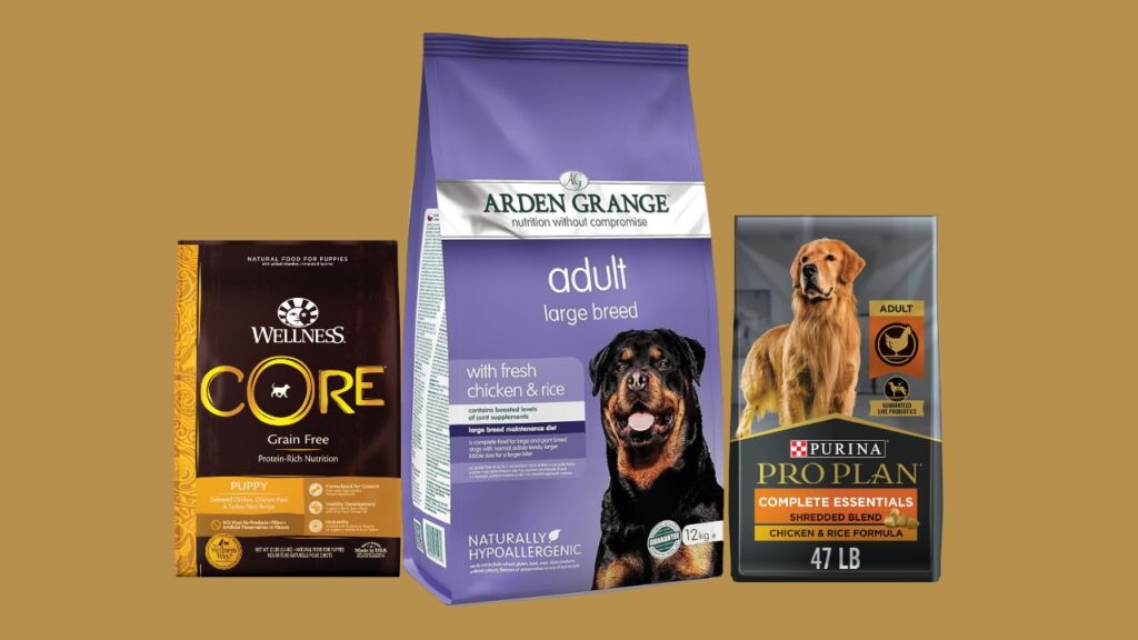 Best Large Breed Dog Food Brands