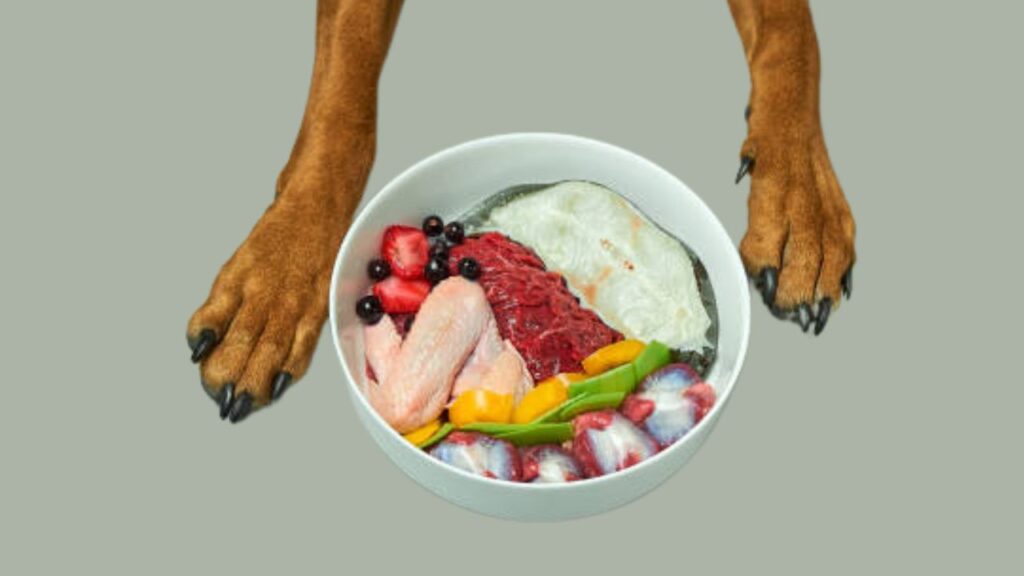 The Importance of Portion Control for Large Breeds