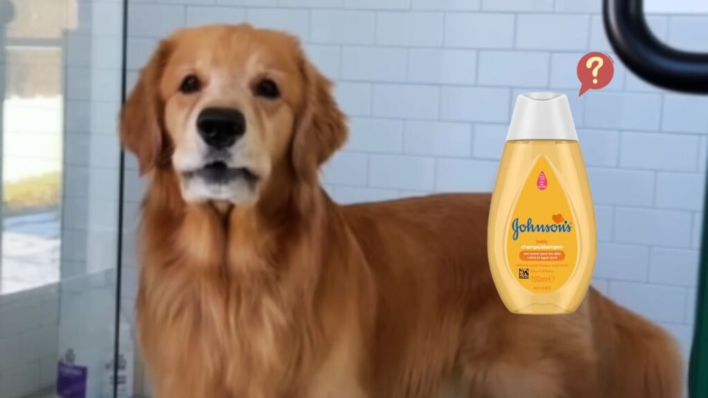 What ingredients should I avoid in baby shampoo for dogs?