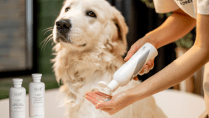 Read more about the article Can You Use Baby Shampoo on Dogs? 7 Secrets to Know