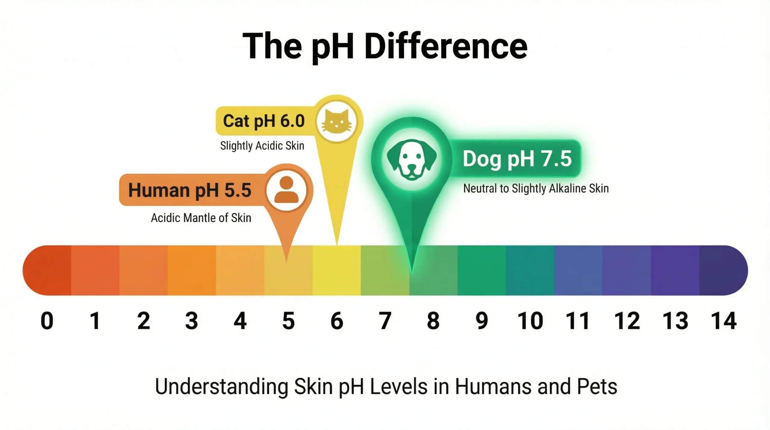 Can I use cat shampoo on my dog? Skin pH difference between cats, dogs, and humans shown on a pH scale