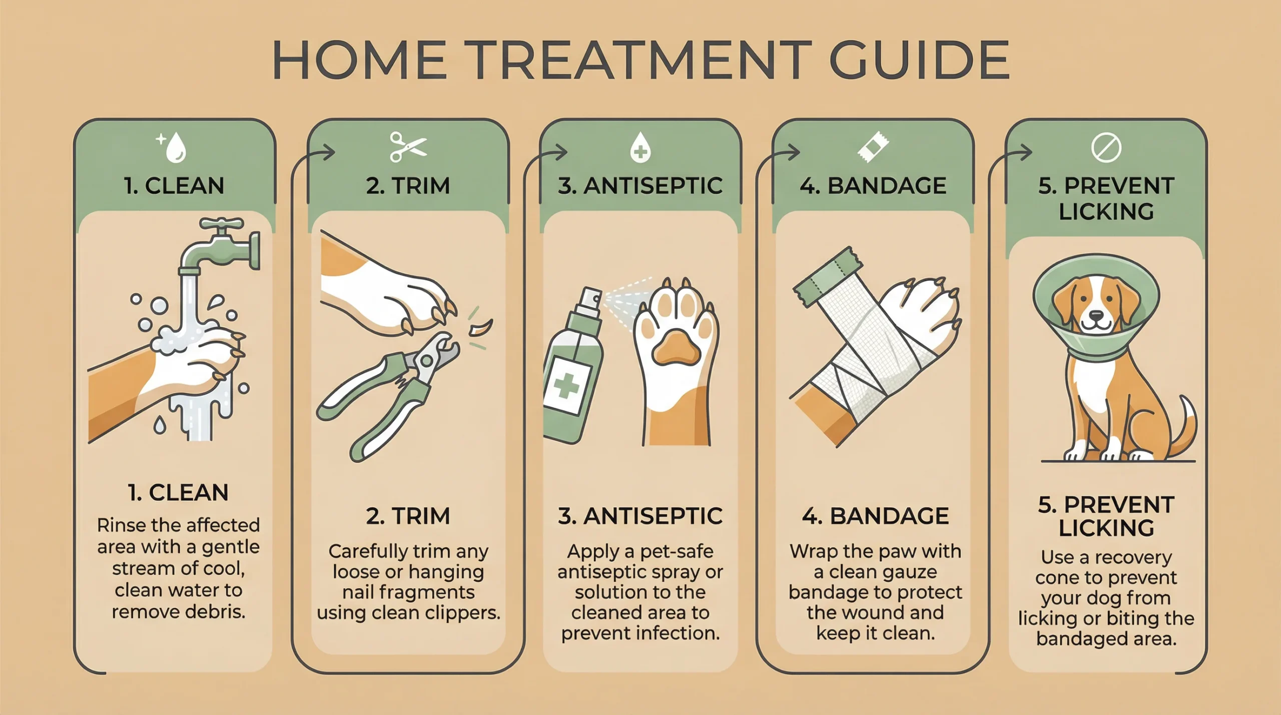 Dog Broken Nail Home Treatment Steps (Clean, Trim, Antiseptic, Bandage) Dog broken nail home treatment steps infographic: clean, trim, antiseptic, bandage, prevent licking