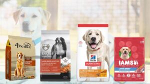 Read more about the article Ultimate Large Breed Dog Food Guide 2024: Nourishing Excellence for Your Canine