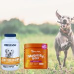 Discover the Best Dog Joint Supplements – 2024