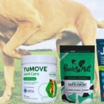 Best Joint Supplements for Dogs 2024