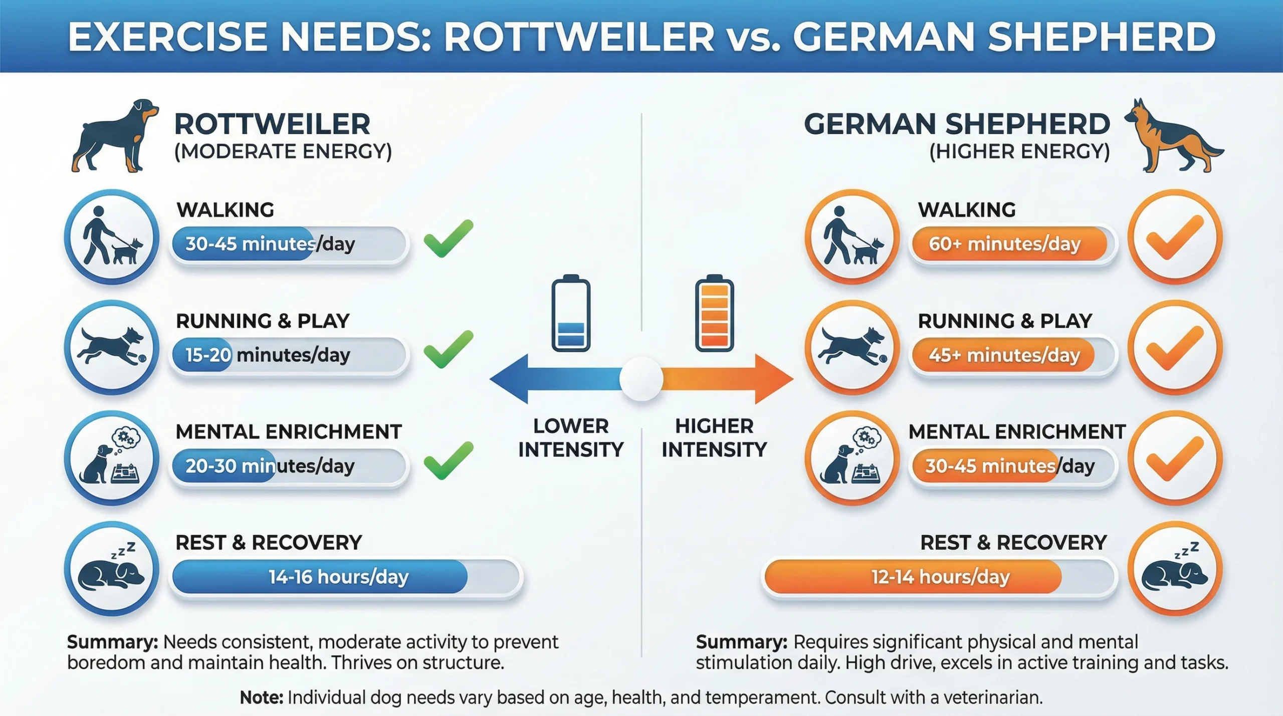 Rottweiler vs German Shepherd exercise needs chart showing daily activity levels.