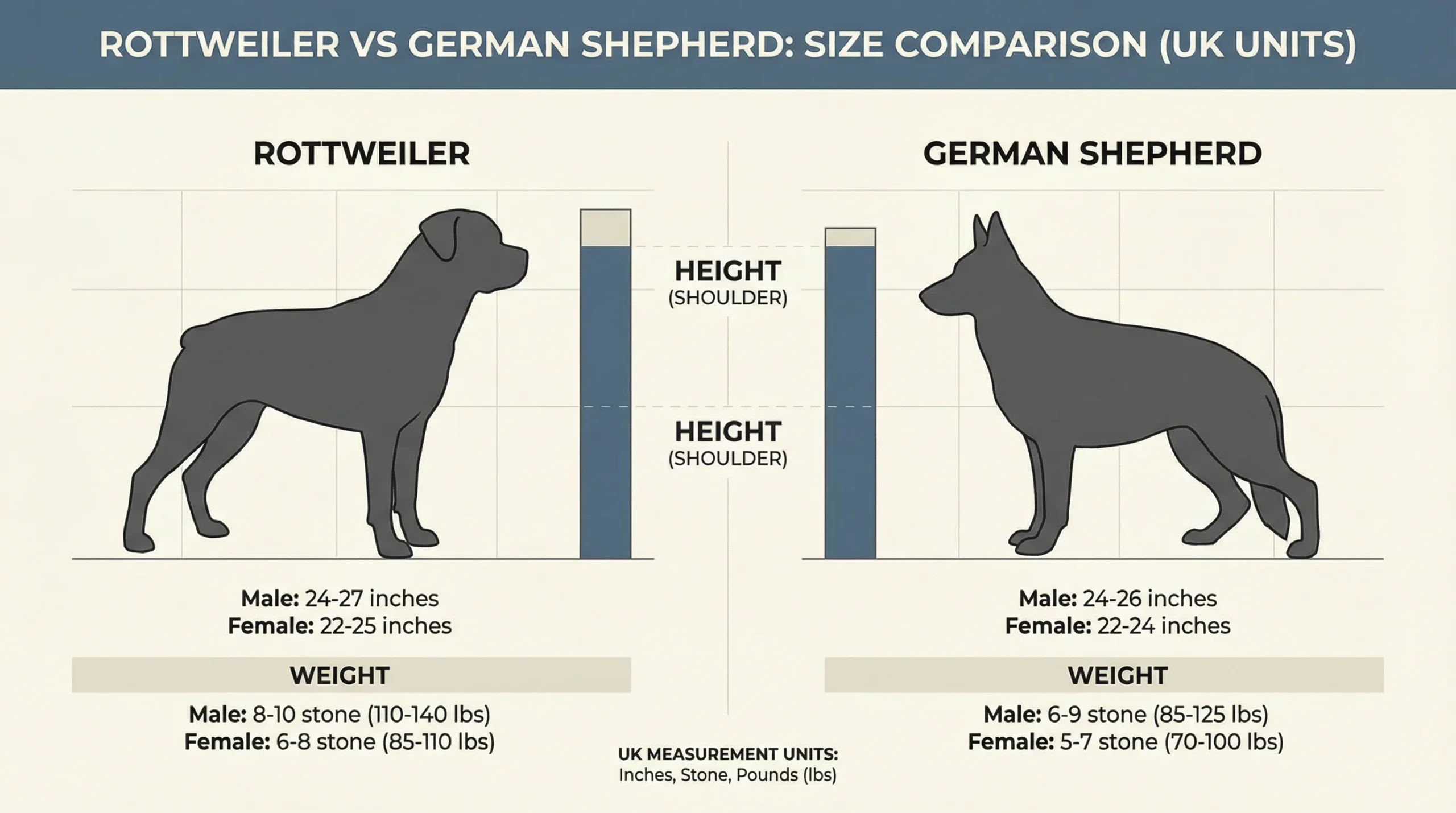 Rottweiler vs German Shepherd size comparison chart with height and weight.