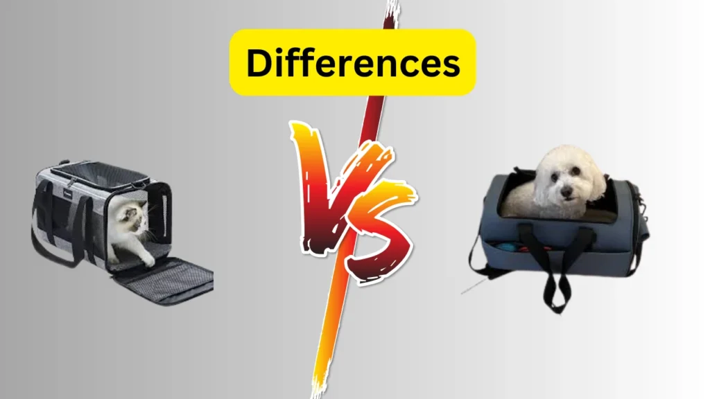 Cat Carrier vs Dog Carrier Differences