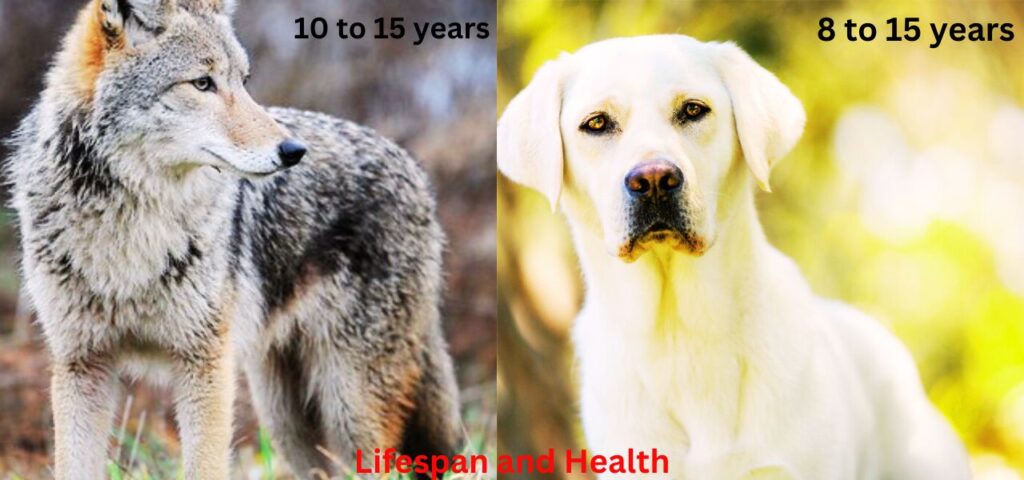 Lifespan and Health