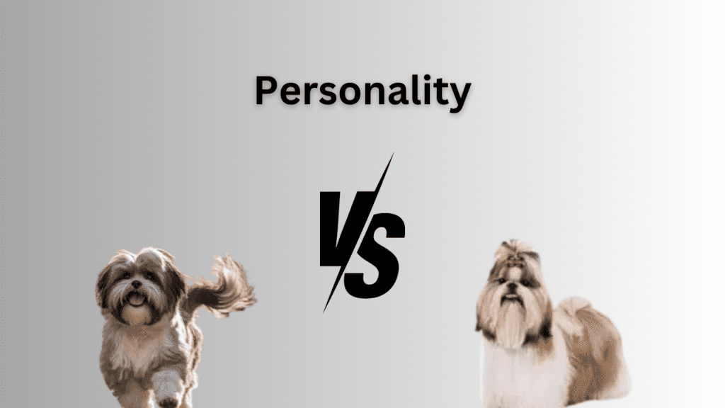 Personality and Temprament