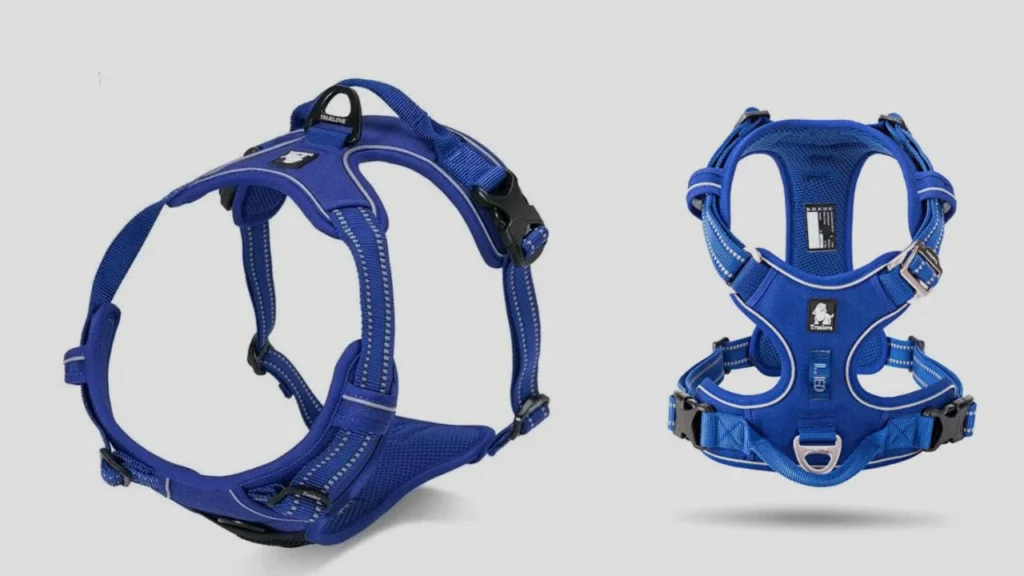 Back-Clip Harnesses