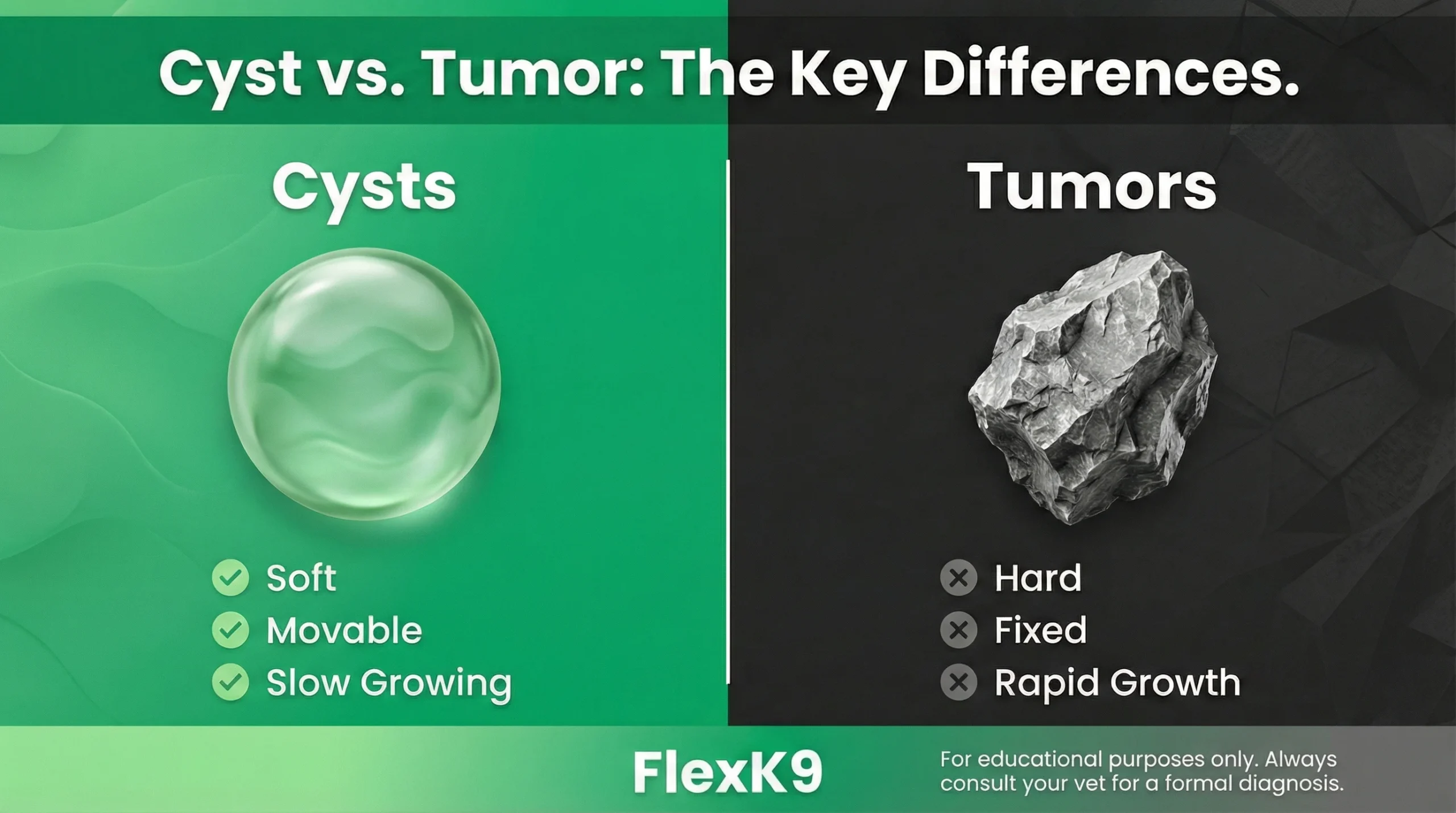 Dog cyst vs tumor comparison infographic showing soft movable cysts versus hard fixed tumours in dogs