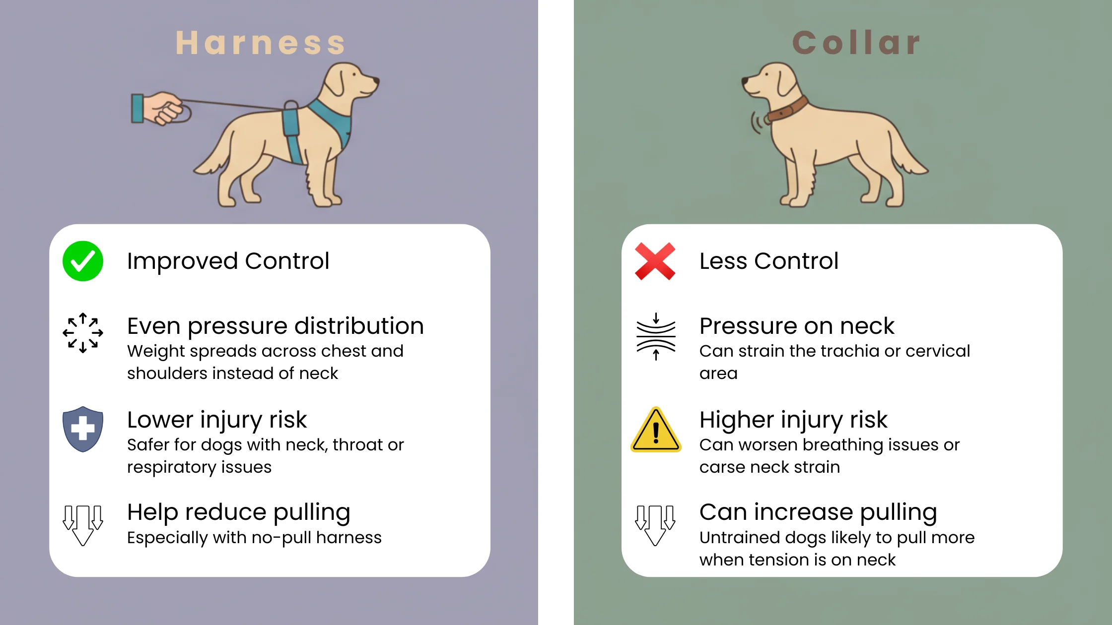 dog harness vs collar infographic — comparison of control, pressure distribution, safety, and pulling