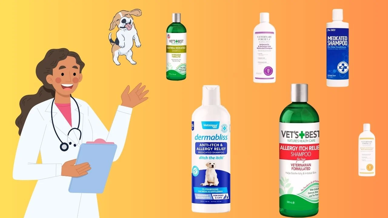 Best Medicated Dog Shampoo for Skin Allergies|2025