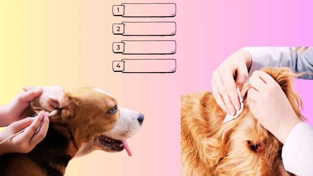 How to Clean Dog Ears the Right Way