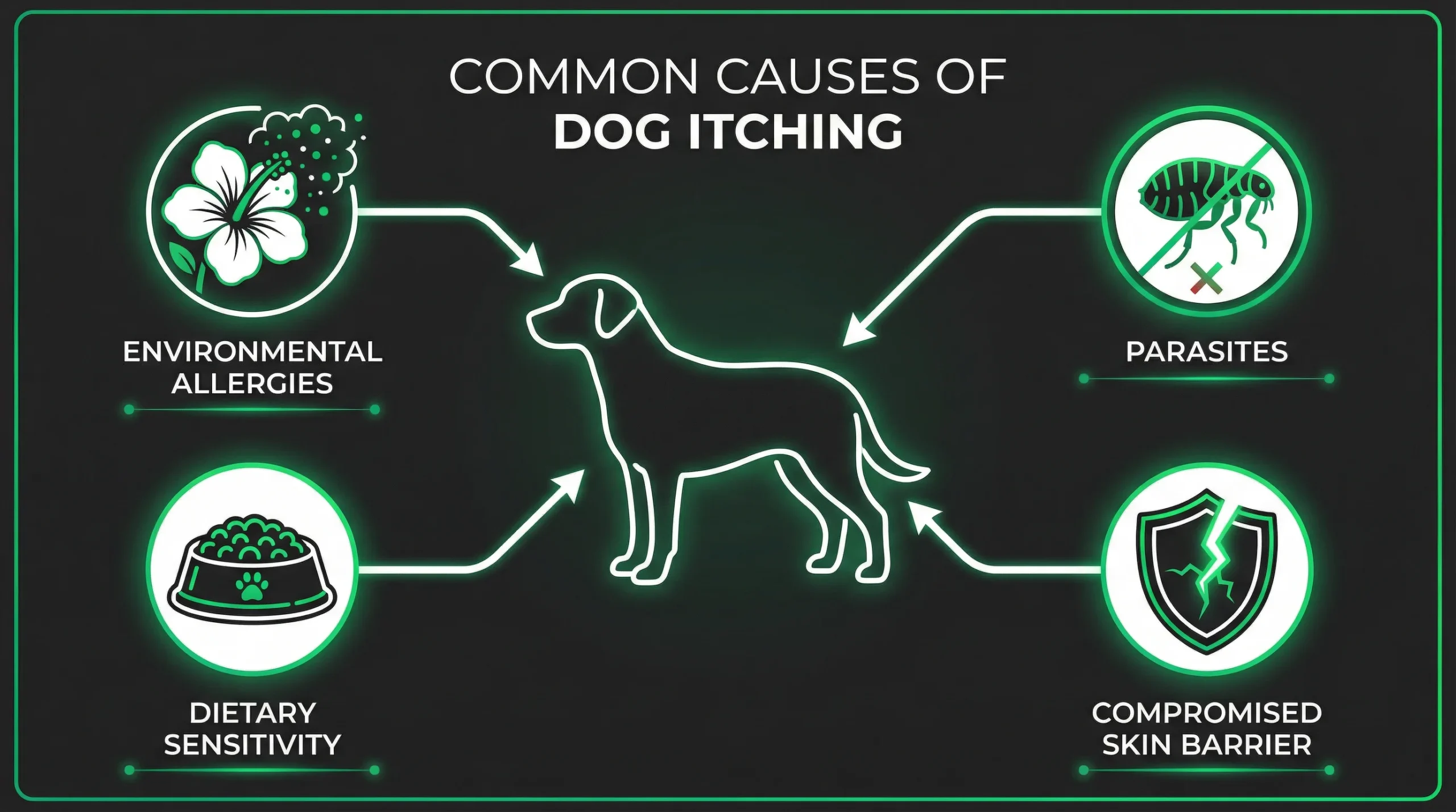 Best shampoo for dogs with itchy skin depends on the underlying cause, including allergies, parasites, dietary sensitivity, and a compromised skin barrier.
