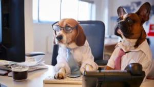 Two dogs dressed as office workers using a computer and phone, symbolising how to report a dangerous dog in the UK