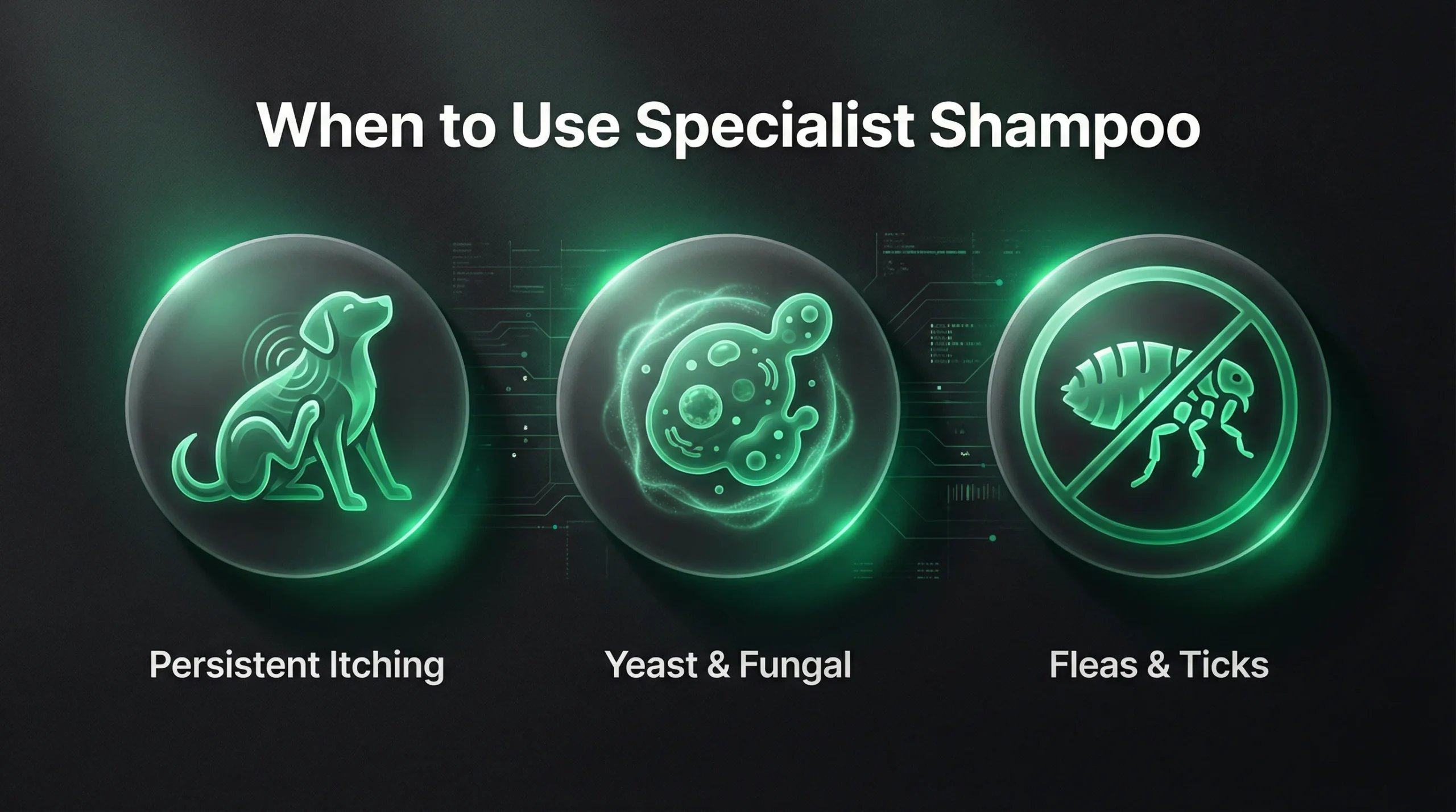Infographic titled "When to Use Specialist Shampoo" showing three key signs: a dog scratching (Persistent Itching), a microscopic cell (Yeast & Fungal), and a crossed-out insect (Fleas & Ticks).