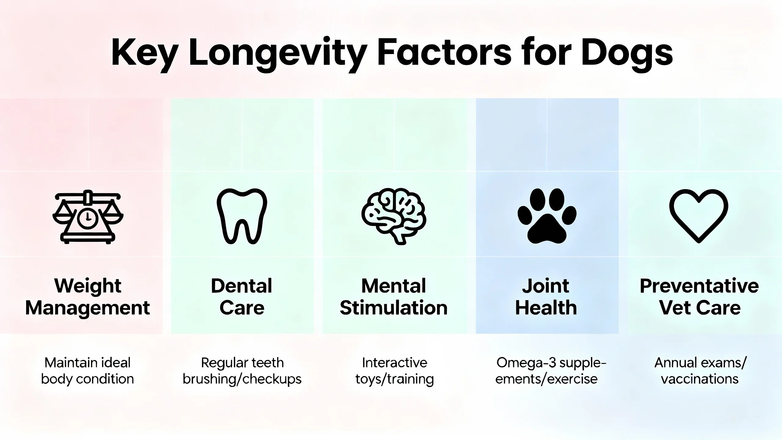 Dogs with longest lifespan infographic showing key longevity factors including weight control, dental care, mental stimulation, and joint health.