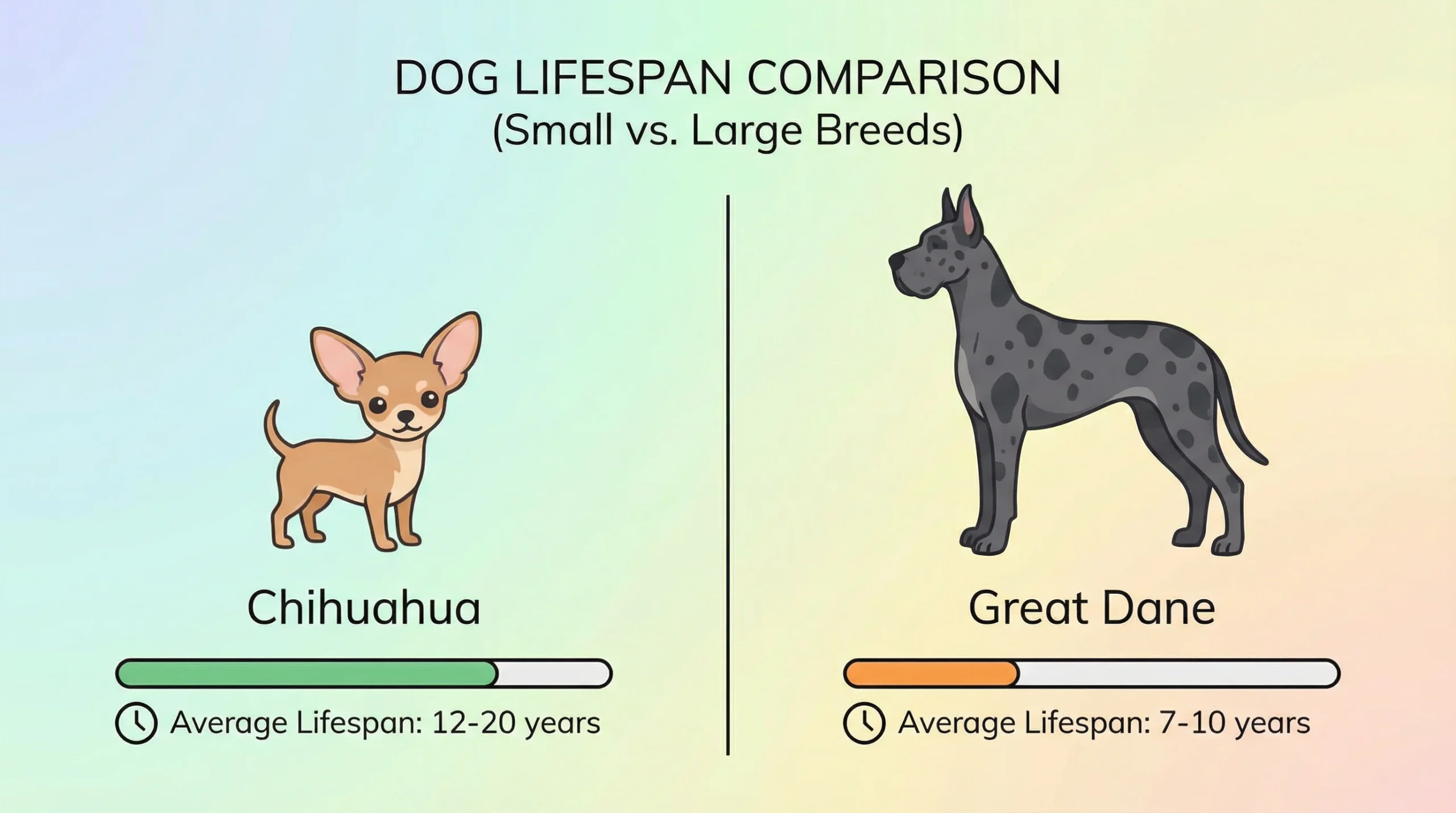 Dogs with longest lifespan visual comparing small dogs vs large breeds lifespan differences.