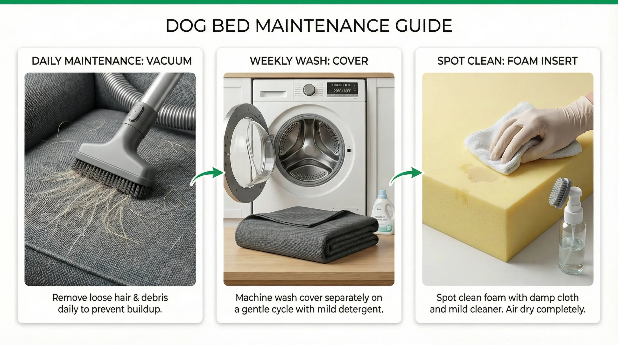 Infographic guide on maintaining the best dog bed for large dogs: Vacuum daily, wash cover weekly, and spot clean the foam.