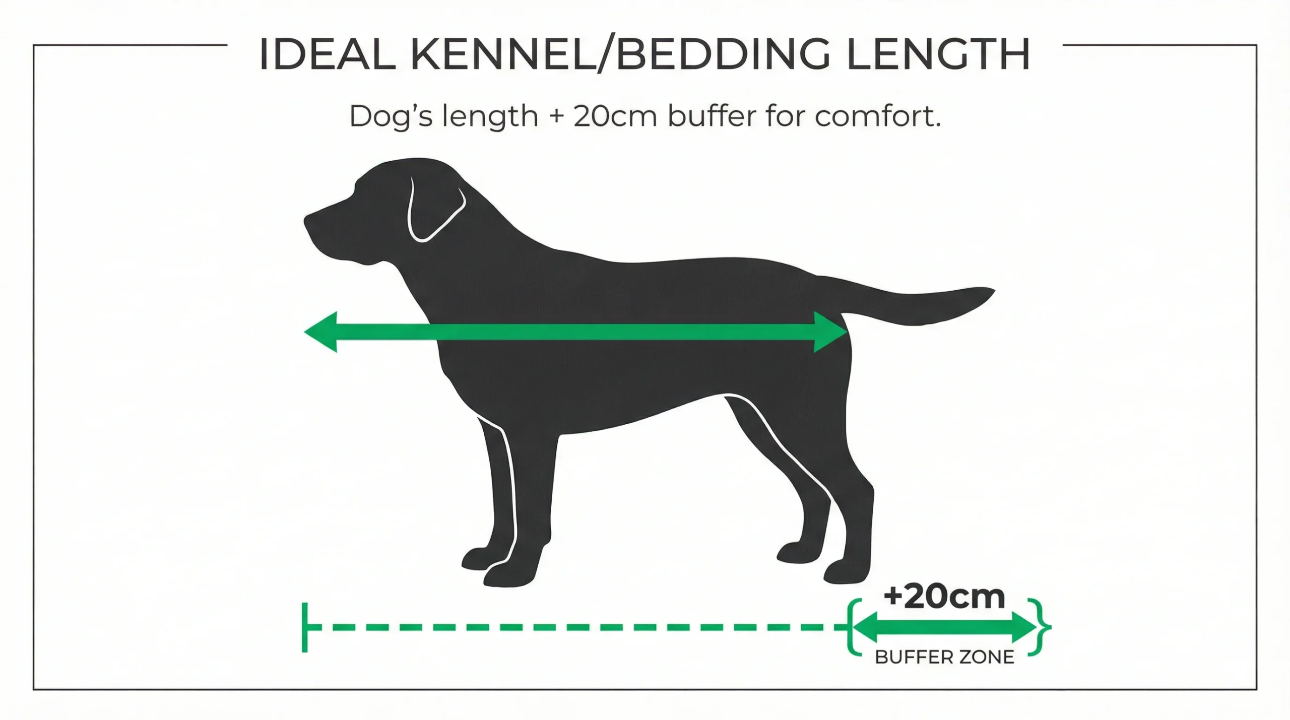 Infographic showing how to measure a dog to find the best dog bed for large dogs by adding a 20cm buffer to their nose-to-tail length.